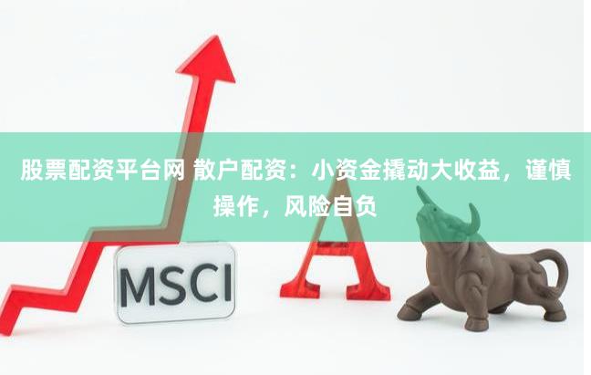 股票配资平台网 散户配资：小资金撬动大收益，谨慎操作，风险自负